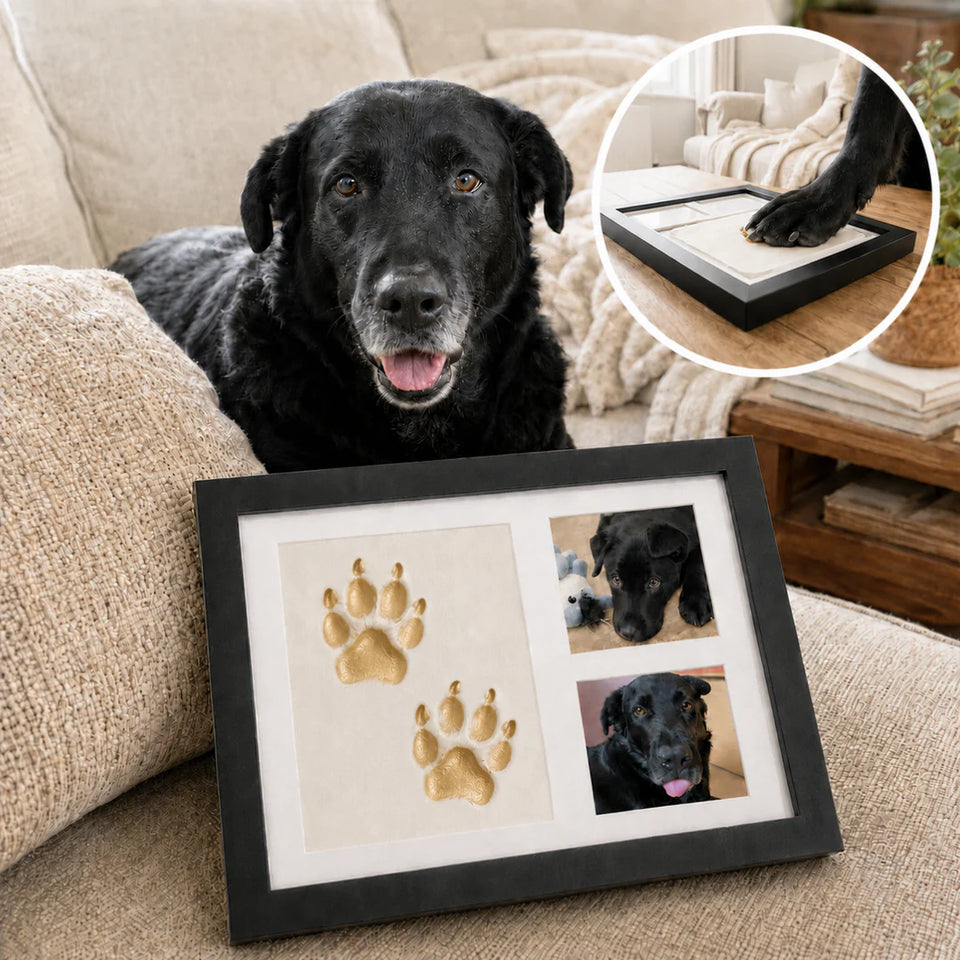 Forever Paws Clay Kit