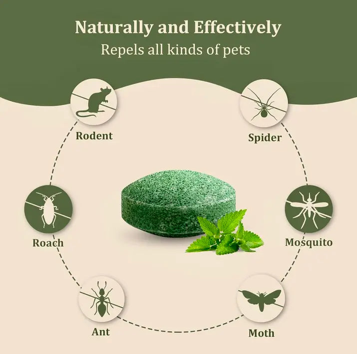 Peppermint Oil Rat Repellent Balls for Home | Pack of 12