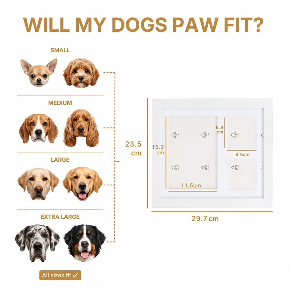 Forever Paws Clay Kit