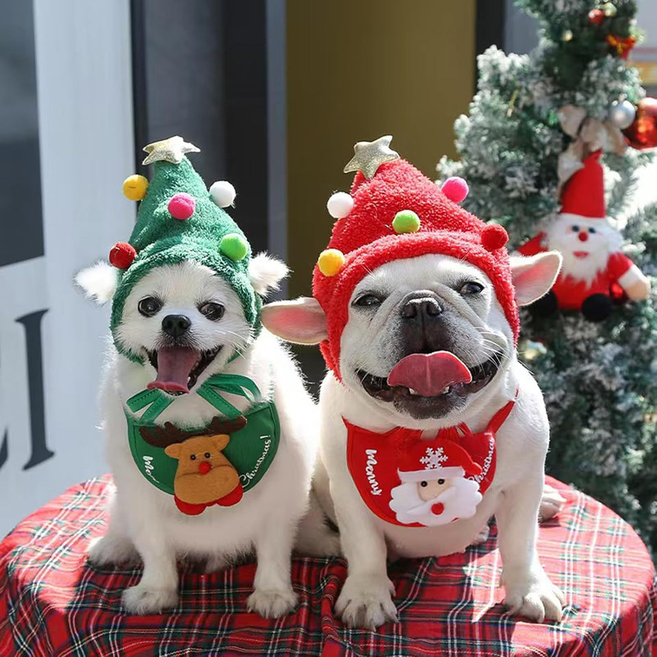 Pet Christmas ( Hat + Bib )