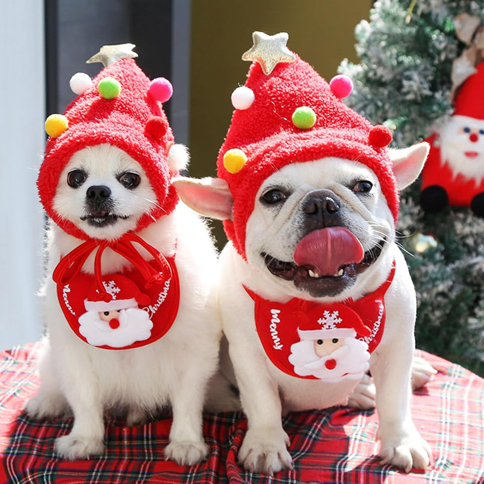Pet Christmas ( Hat + Bib )