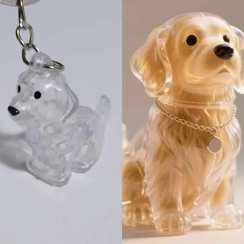 Forever Paws