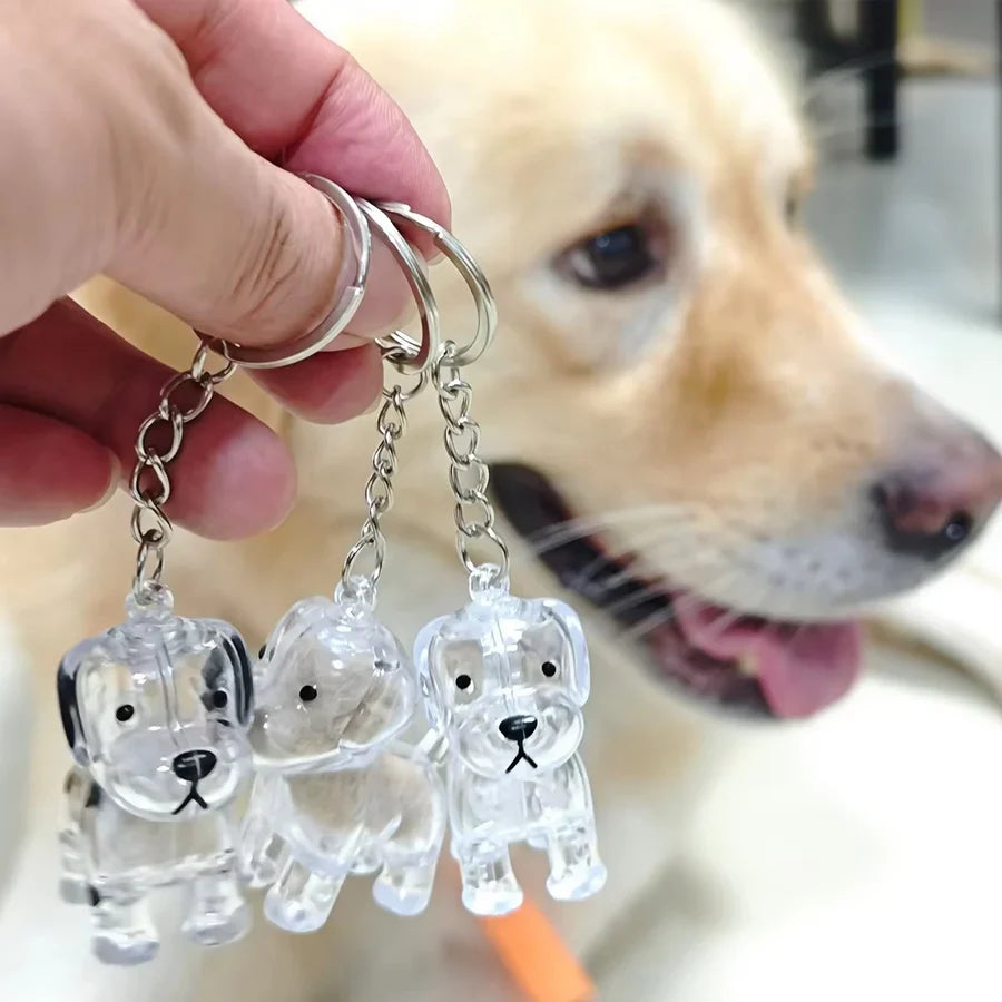 Forever Paws