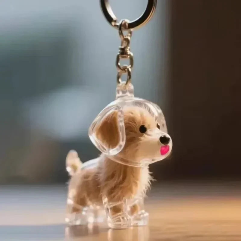 Forever Paws