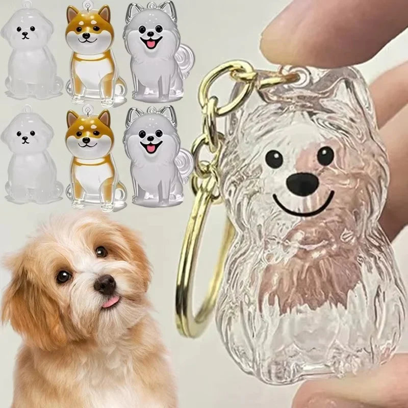 Forever Paws