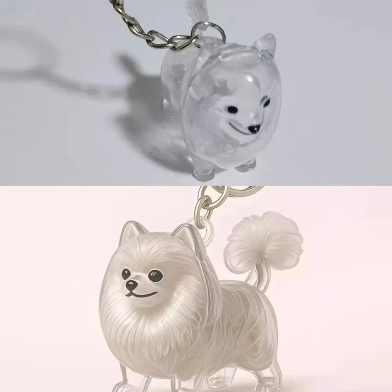 Forever Paws