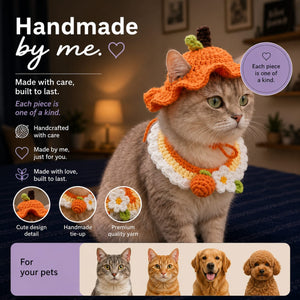 Crochet Pet Hats