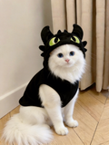Handmade kitty costume