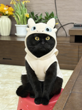 Handmade kitty costume