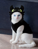 Handmade kitty costume