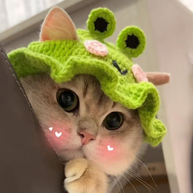 Crochet Pet Hats