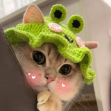 Crochet Pet Hats