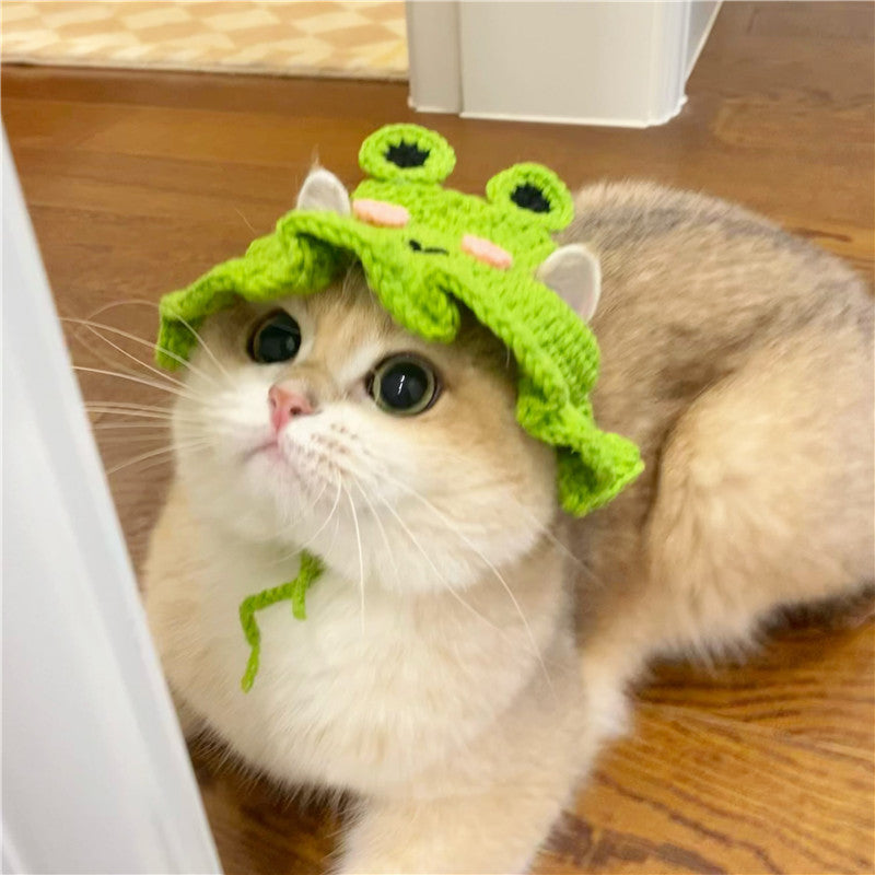 Crochet Pet Hats