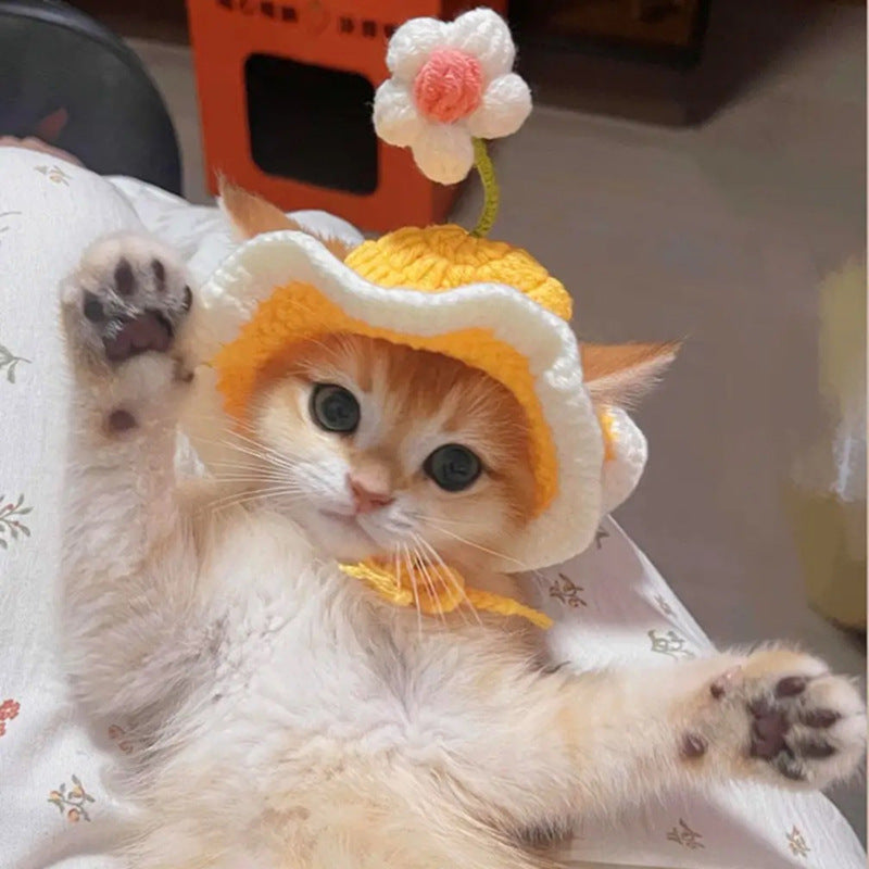 Crochet Pet Hats