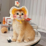 Crochet Pet Hats